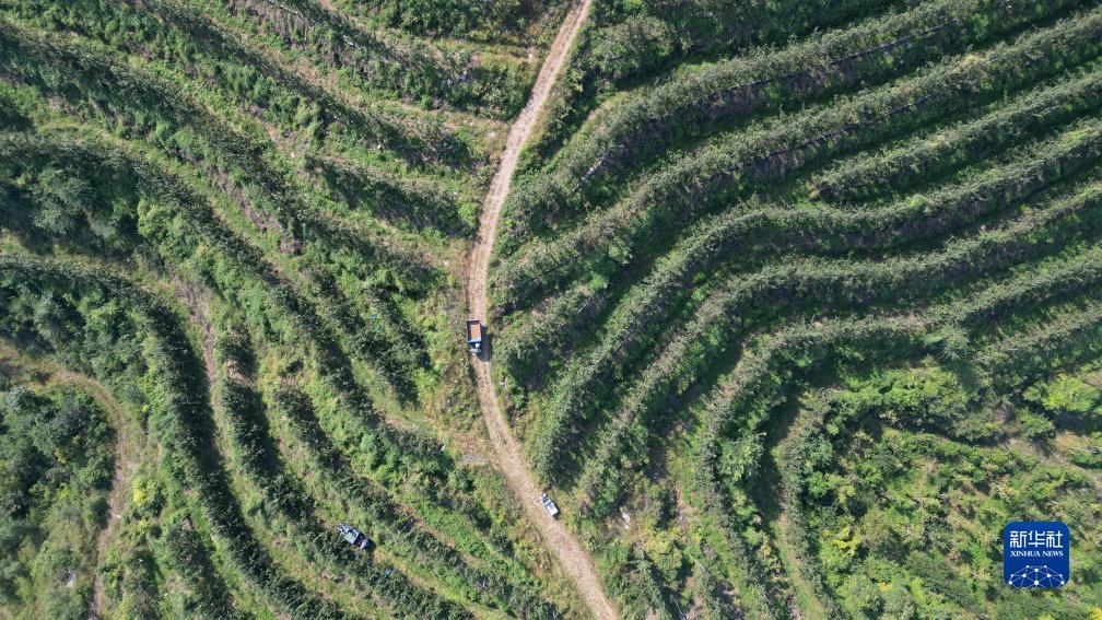 澳门银座网页登录